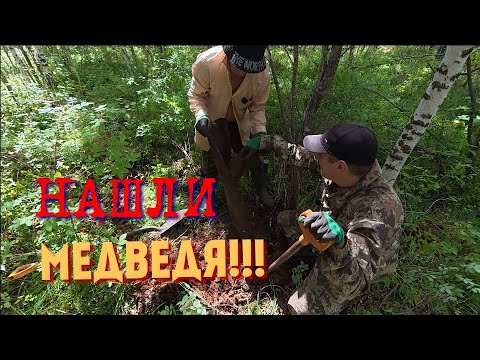 Видео: НАРВАЛИСЬ НА МЕДВЕДЯ!!! В СОВЕТСКОЕ ВРЕМЯ ЗДЕСЬ РУБИЛИ ЛЕС!!! А мы Копаем металл!!! 