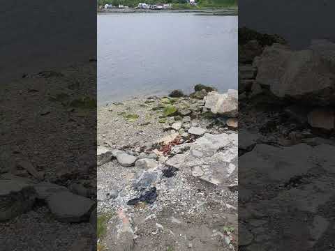 Видео: Слип в Росляково, Мурманск.