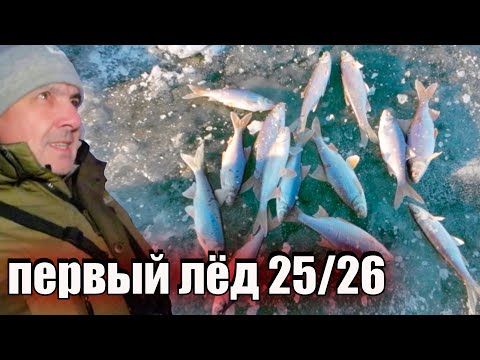 Видео: Рыбалка. Первый лёд  25/26