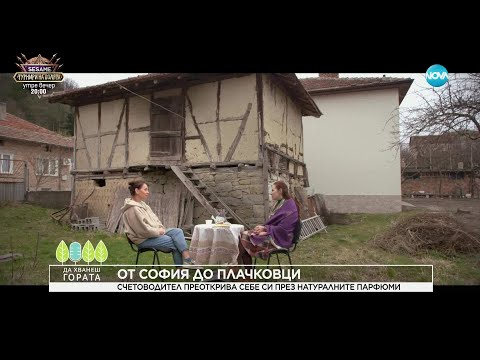 Видео: Да хванеш гората (06.04.2025)