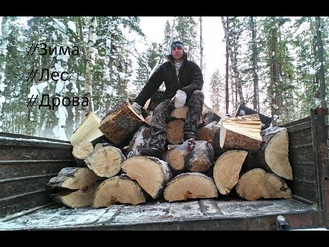 Видео: У физрука выходной,Лучший отдых-смена вида деятельности.Зима,лес,дрова.