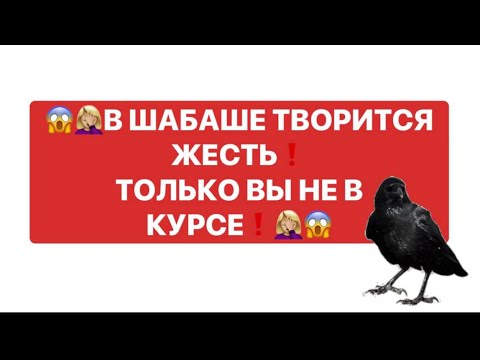 Видео: 😱😱❗️❗️В ШАБАШЕ ТВОРИТСЯ НЕЧТО ❗️ ТОЛЬКО ВЫ НЕ В КУРСЕ❗️❗️😱😱😱