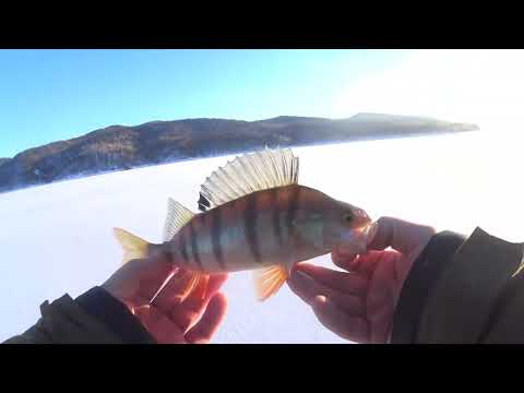 Видео: ПЕРВАЯ РЫБАЛКА В 2025 ГОДУ. ЗАЛИВ СИСИМ. 4 ЧАСТЬ.