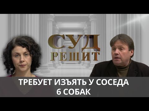 Видео: Конфликт из-за домашних животных: Суд решает судьбу шести собак. Суд решит 17.10.2024.