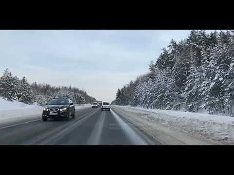 Видео: Раскрыть ВСЮ СУТЬ моей ЖЕНЫ мне помогла СОБАКА на ДОРОГЕ