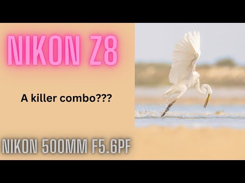 Видео: Nikon 500mm F5.6 PF на Nikon Z8 | Фантастическое сочетание или пора купить объектив Z?