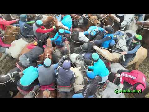 Видео: 08.03.2025 Ордабасы ауданы, Ақпан ауылының жас шабандоздарға арналған көкпары.