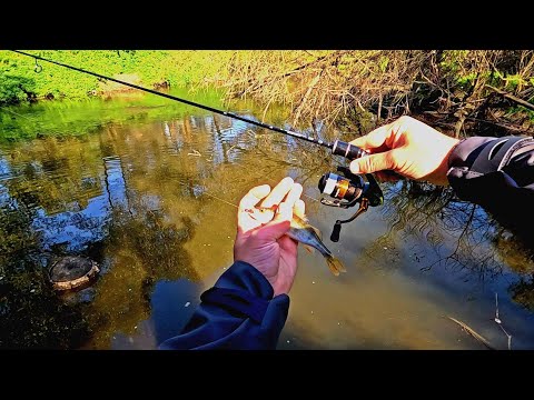Видео: Бюджетный МОРМЫШИНГ с  Dayo limerence! По цене ДЕШЕВЛЕ НЕТ!