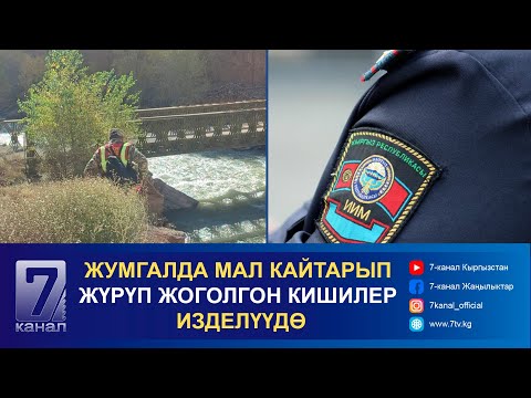 Видео: КҮНДҮЗГҮ КАБАР 21.10.2024: СОКУЛУКТАГЫ МУШТАШКА КАТЫШКАН МИЛИЦИОНЕР КАЙТАРУУГА АЛЫНДЫ