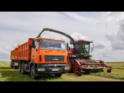 Видео: Заготовка сенажа / ПАЛЕССЕ FS8060, FS80, John Deere 7480 / МАЗ 6501, 5551, БЕЛАРУС 1221 и другие /