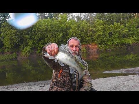 Видео: Серия рыбалок как есть. Река Ворона. Рыбалка сетями.