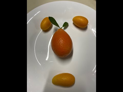 Видео: Нордманн  (Nordmann Seedless Nagami kumquat) Кумкват "Indio mandarinquat"