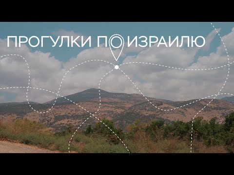 Видео: Парк Тель-Дан, интервью с министром туризма Израиля и новая технология в лечении рака