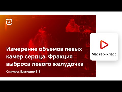 Видео: Измерение и расчеты в ЭхоКГ. Измерение объемов левых камер сердца. Благодир Б.В.