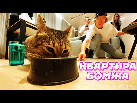 Видео: САМАЯ ГРЯЗНАЯ КВАРТИРА в МИРЕ / Кореш, Парадеевич, Exile, FRAME TAMER и Данила Горилла