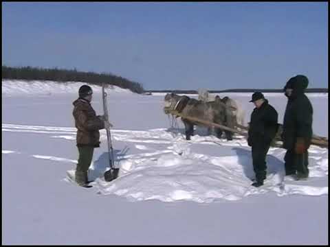 Видео: Зимняя охота