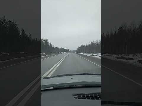 Видео: 11 мая 2024 г.