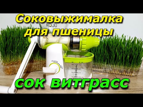 Видео: Соковыжималка для пшеницы.  Сок витграсс