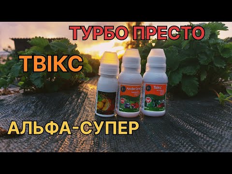 Видео: Який ІНСЕКТИЦИД вибрати від ХРУЩА в полуниці?/Інсектициди Сімейний Сад