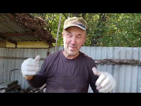 Видео: Потихоньку переезжаем. Перевезли кошек и кур.