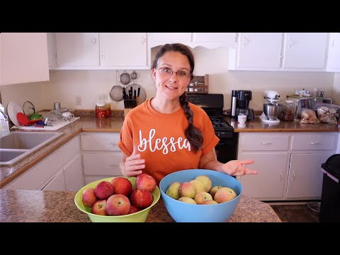 Видео: Ни единого яблока на наших деревьях... Но это меня не останавливает!!