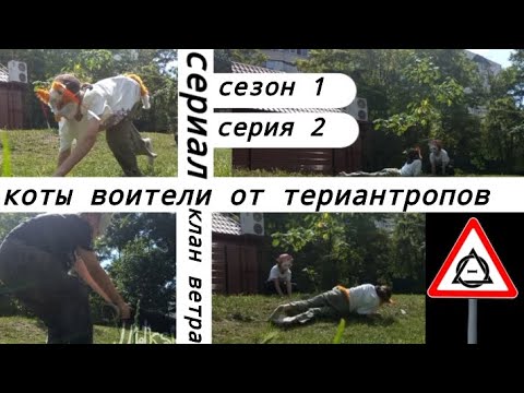 Видео: « коты-воители от териантропов » 1 сезон 2 серия « клан ветра » — наше ау !