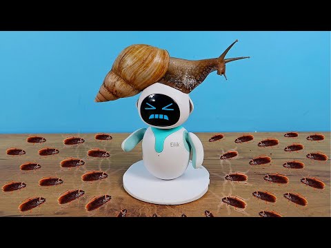 Видео: Тараканы и Улитка довели робота Eilik до истерики!