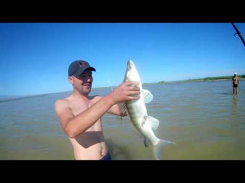 Видео: ТАКОГО СУДАКА Я ЕЩЕ НЕ ЛОВИЛ!!!Рыбалка на Капчагае поймал огромного судака