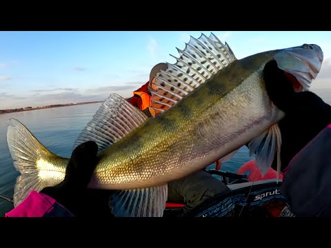 Видео: Вчера вышли на ПЕРВЫЙ ЛЁД сегодня ДУБАСИМ СУДАКОВ на СПИННИНГ! ОПЕРАТОР меня УДЕЛАЛА! ТАКТИКА НЫТЬЁ!