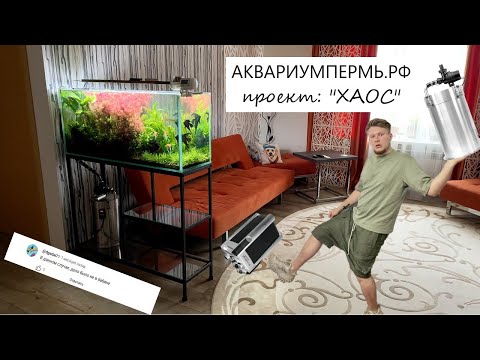 Видео: Проект "Хаос" как изменился аквариум после замены фильтра JBL на фильтр из нержавеющей стали