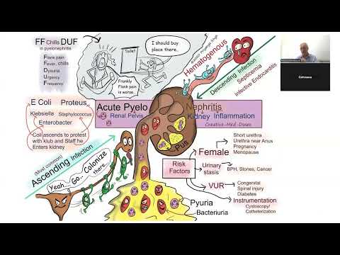 Видео: Лікування пієлонефриту