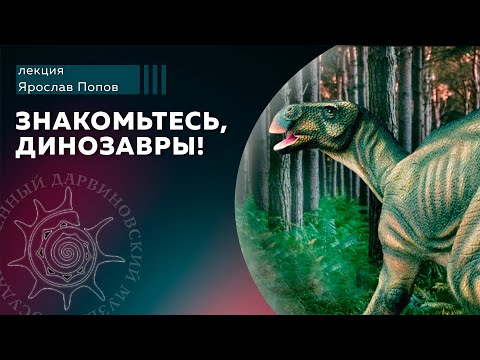 Видео: Знакомьтесь, динозавры!