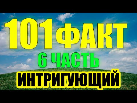 Видео: 101 Случайный факт, Которые Вы Точно Не знали...