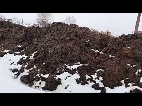 Видео: "Aqtöbeverm" тұтұнушы кооперативінің компост, вермикомпост, шылаушын бағытындағы өндірісі.