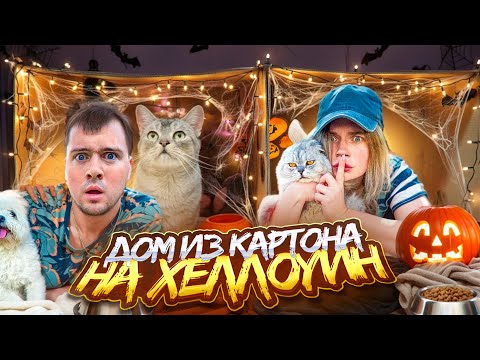 Видео: 24 ЧАСА СТРОИМ КАРТОННЫЕ ДОМА ПИТОМЦАМ НА ХЭЛЛОУИН | КЕВИН vs БИЛЮШКА