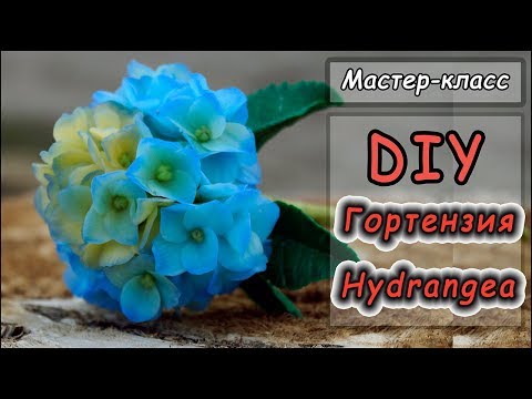 Видео: DIY ❤ Гортензия из полимерной глины  ❤ Мастер-класс по лепке  ❤ Polymer clay tutorial