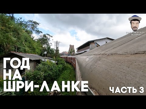 Видео: ГОД НА ШРИ-ЛАНКЕ  - Часть 3