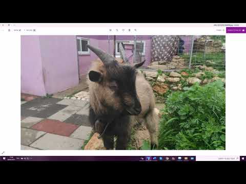 Видео: 1235. Глагол МОЦИ вынимает, вытаскивает, выпускает, вырывает, высовывает, издаёт, извлекает