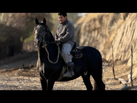 Видео: АТ АТ ЭКЕНГО 💪🏻 #байтв 