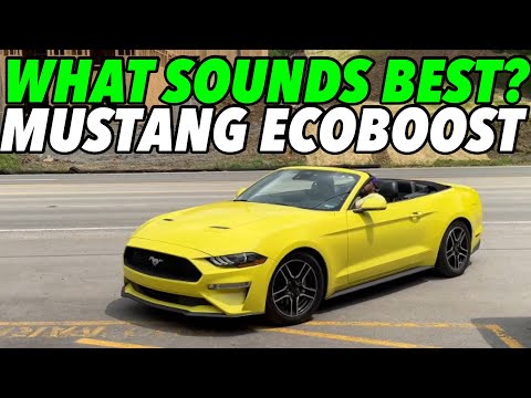 Видео: Мы протестировали 4 разных глушителя на Ford Mustang Ecoboost!