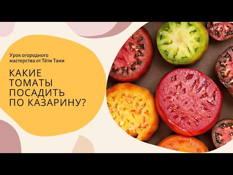 Видео: 801. Какие томаты посадить по Казарину?