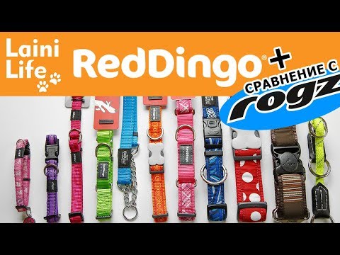 Видео: Обзор ошейников Red Dingo и сравнение с ROGZ