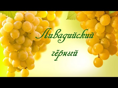 Видео: Ливадийский чёрный.