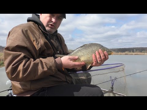 Видео: Карась та Короп на надлегкі фідерні снасті.Ще та насолода