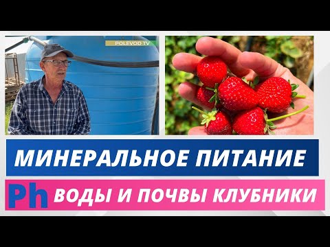 Видео: Ph воды и минеральное питание! #ph  #клубника #минеральноепитание