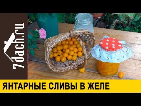 Видео: 🍯 Сливы в желе: заготовка на зиму пальчики оближешь! - 7 дач