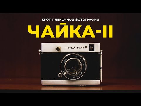 Видео: Чайка-2 | кроп плёночной фотографии | 3х минутная среда 01