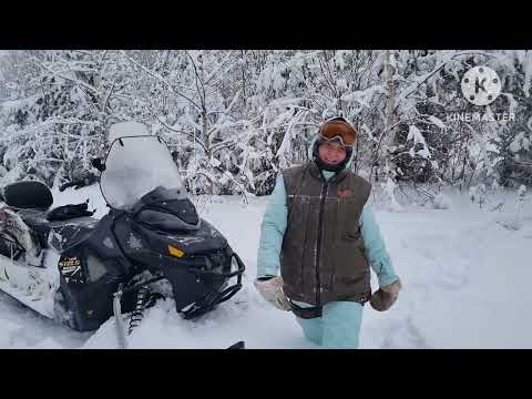 Видео: Рождественский лось! Охота на снегоходе STELS в -30.