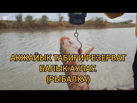 Видео: РЫБАЛКА В АКЖАЙЫКСКОМ ЗАПОВЕДНИКЕ. (РЫБАЛКА)
