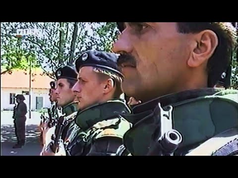 Видео: История о "Волках с Дрины"